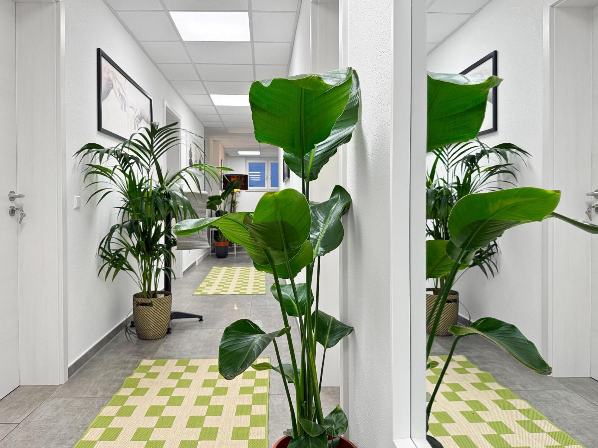 Group Friendly Comfort Central Stuttgart Apartment 외부 사진